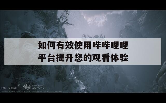如何有效使用哔哔哩哩平台提升您的观看体验  第1张