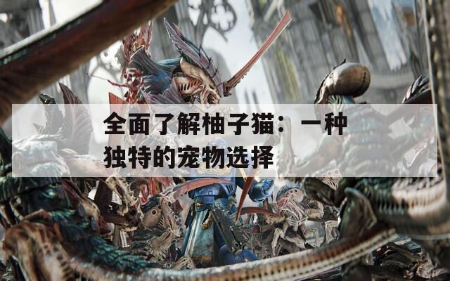 全面了解柚子猫：一种独特的宠物选择