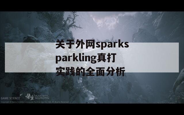 关于外网sparksparkling真打实践的全面分析