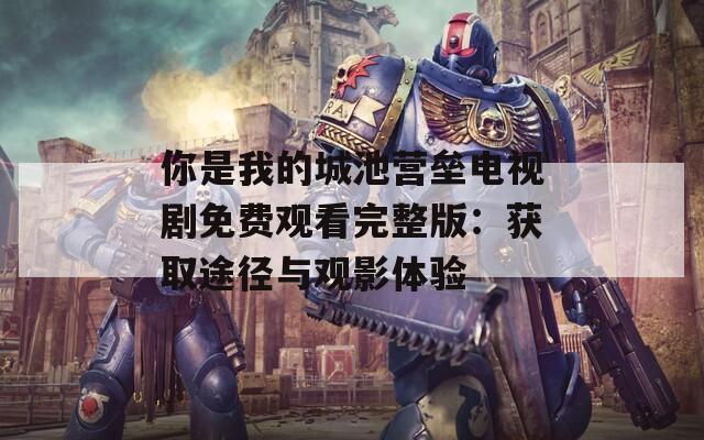 你是我的城池营垒电视剧免费观看完整版：获取途径与观影体验