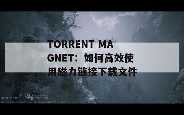 TORRENT MAGNET：如何高效使用磁力链接下载文件