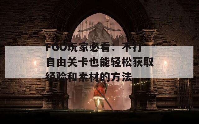 FGO玩家必看：不打自由关卡也能轻松获取经验和素材的方法