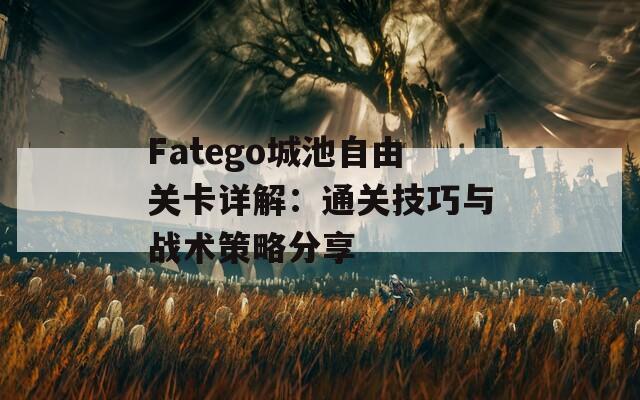 Fatego城池自由关卡详解：通关技巧与战术策略分享
