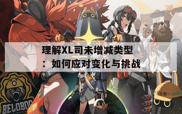 理解XL司未增减类型：如何应对变化与挑战  第1张