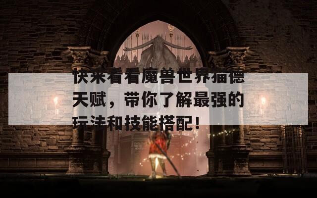 快来看看魔兽世界猫德天赋，带你了解最强的玩法和技能搭配！
