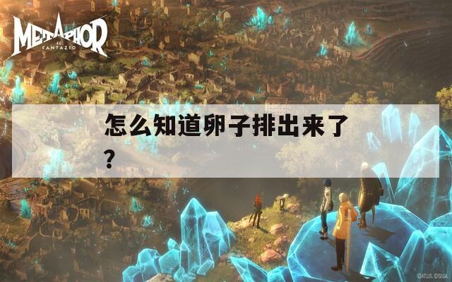 怎么知道卵子排出来了？