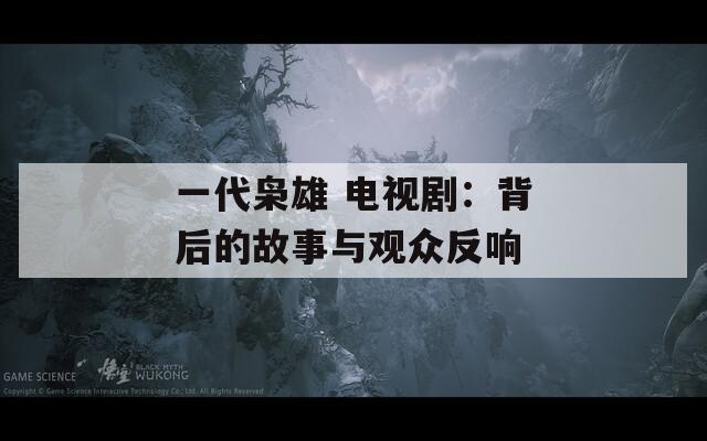一代枭雄 电视剧：背后的故事与观众反响