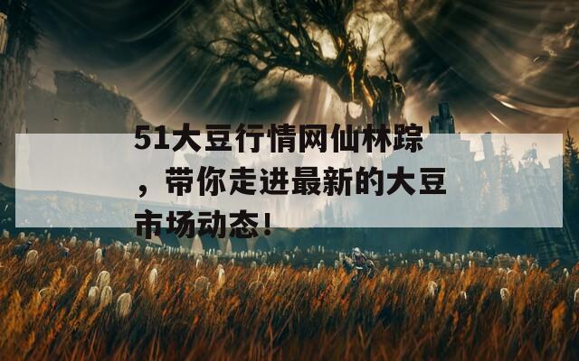 51大豆行情网仙林踪，带你走进最新的大豆市场动态！