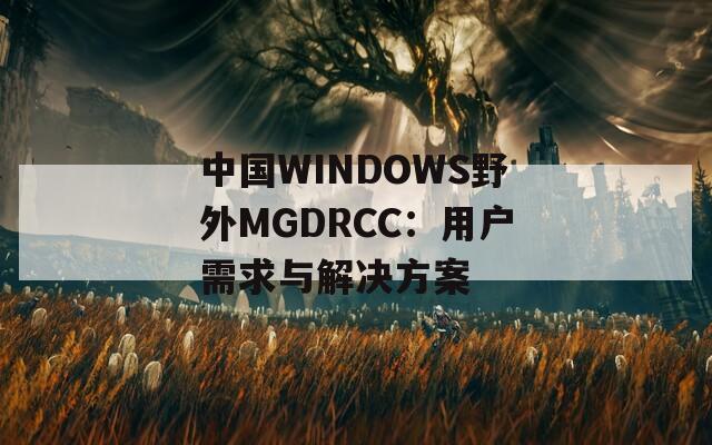 中国WINDOWS野外MGDRCC：用户需求与解决方案