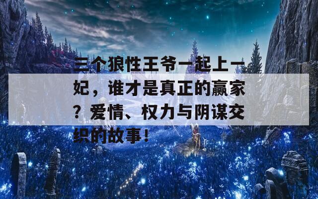 三个狼性王爷一起上一妃，谁才是真正的赢家？爱情、权力与阴谋交织的故事！