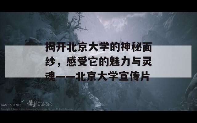 揭开北京大学的神秘面纱，感受它的魅力与灵魂——北京大学宣传片