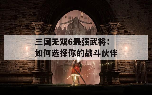 三国无双6最强武将：如何选择你的战斗伙伴  第1张