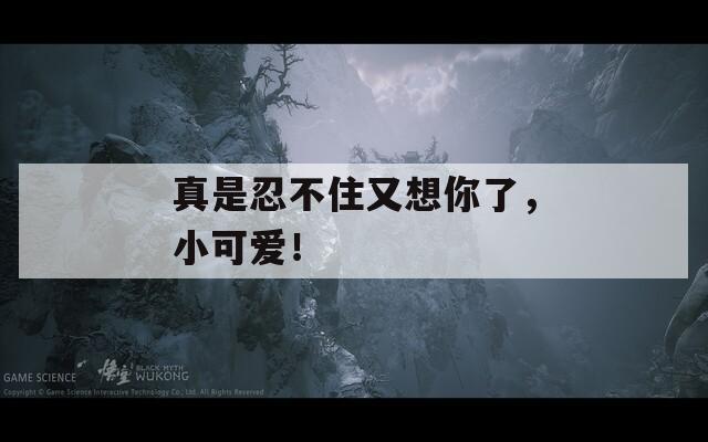 真是忍不住又想你了，小可爱！
