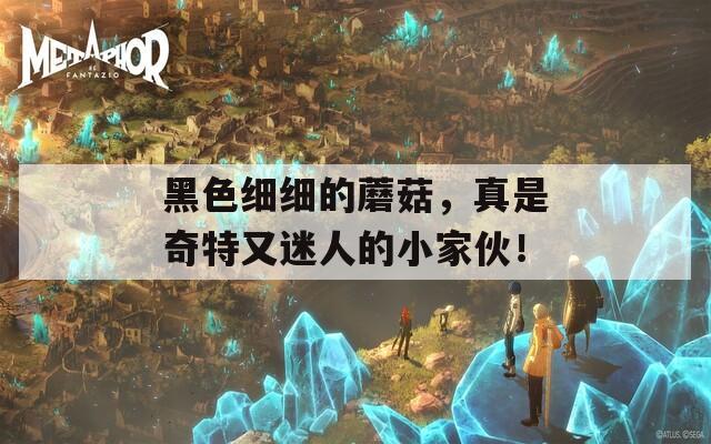 黑色细细的蘑菇，真是奇特又迷人的小家伙！  第1张