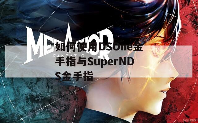 如何使用DSOne金手指与SuperNDS金手指