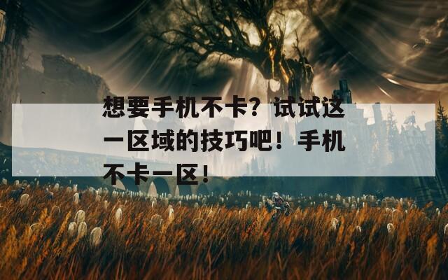 想要手机不卡？试试这一区域的技巧吧！手机不卡一区！