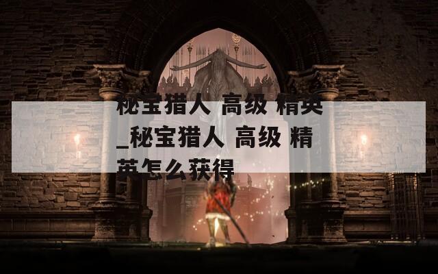 秘宝猎人 高级 精英_秘宝猎人 高级 精英怎么获得