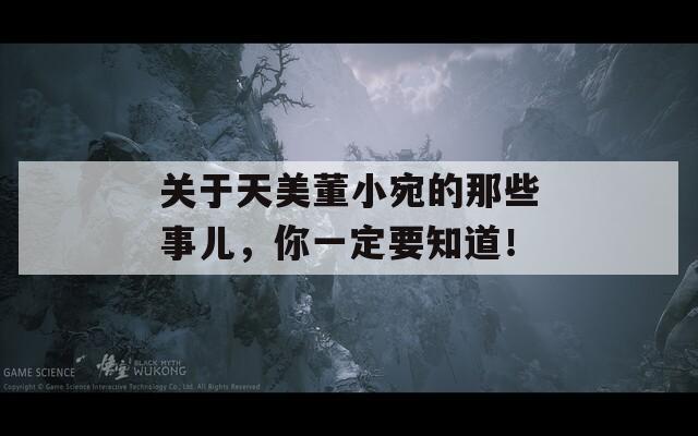 关于天美董小宛的那些事儿，你一定要知道！
