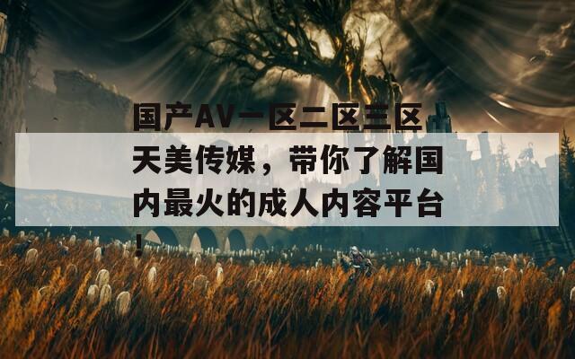 国产AV一区二区三区天美传媒，带你了解国内最火的成人内容平台！