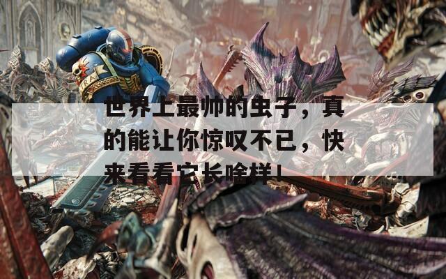 世界上最帅的虫子，真的能让你惊叹不已，快来看看它长啥样！
