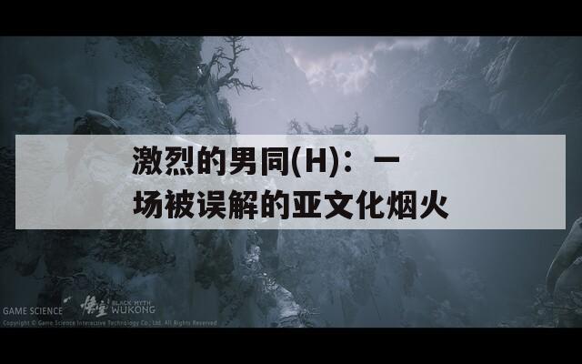 激烈的男同(H)：一场被误解的亚文化烟火