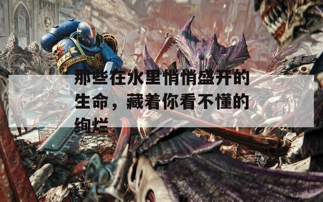 那些在水里悄悄盛开的生命，藏着你看不懂的绚烂