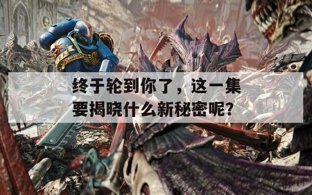 终于轮到你了，这一集要揭晓什么新秘密呢？