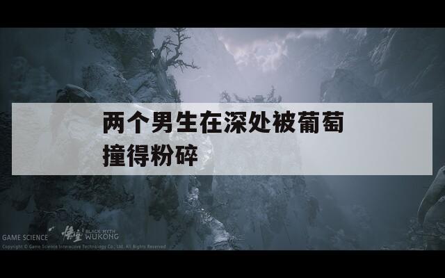 两个男生在深处被葡萄撞得粉碎  第1张