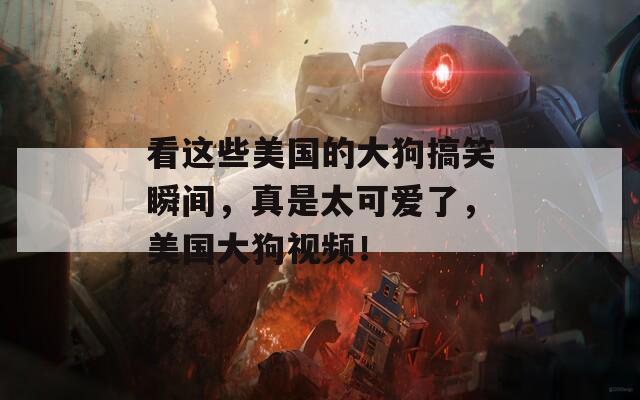 看这些美国的大狗搞笑瞬间，真是太可爱了，美国大狗视频！