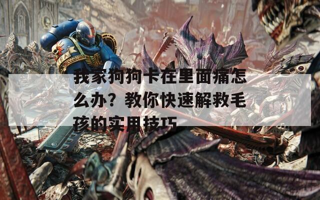 我家狗狗卡在里面痛怎么办？教你快速解救毛孩的实用技巧  第1张