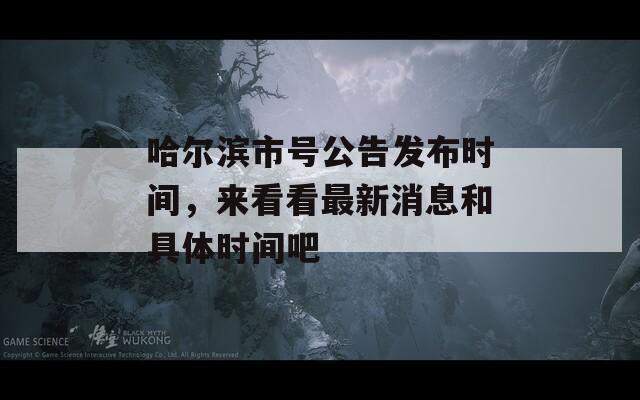 哈尔滨市号公告发布时间，来看看最新消息和具体时间吧