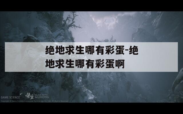 绝地求生哪有彩蛋-绝地求生哪有彩蛋啊