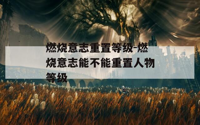 燃烧意志重置等级-燃烧意志能不能重置人物等级