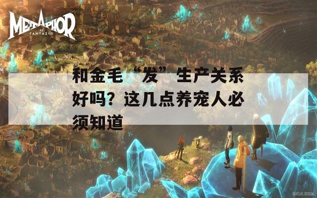 和金毛“发”生产关系好吗？这几点养宠人必须知道