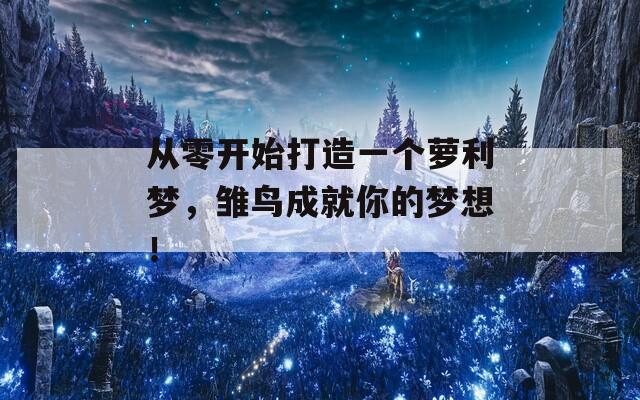 从零开始打造一个萝利梦，雏鸟成就你的梦想！