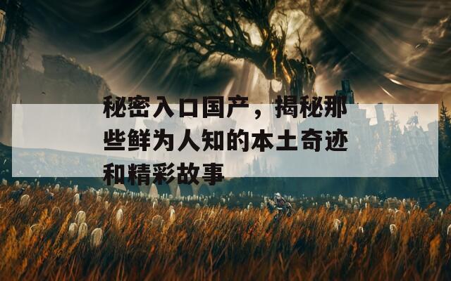 秘密入口国产，揭秘那些鲜为人知的本土奇迹和精彩故事  第1张