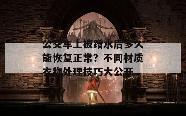 公交车上被蹭水后多久能恢复正常？不同材质衣物处理技巧大公开
