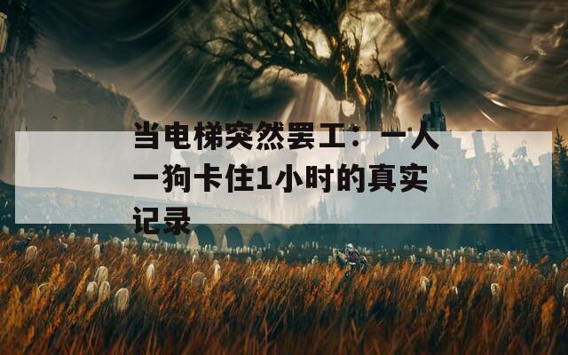 当电梯突然罢工：一人一狗卡住1小时的真实记录