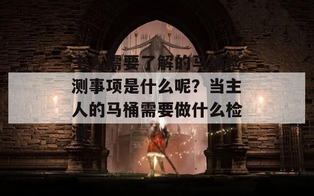 主人需要了解的马桶检测事项是什么呢？当主人的马桶需要做什么检测