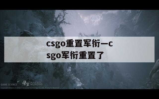 csgo重置军衔—csgo军衔重置了  第1张