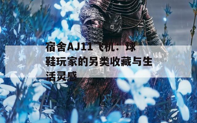 宿舍AJ11飞机：球鞋玩家的另类收藏与生活灵感