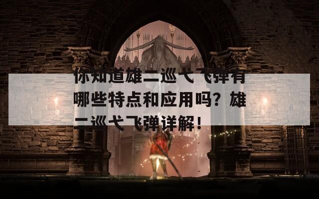 你知道雄二巡弋飞弹有哪些特点和应用吗？雄二巡弋飞弹详解！
