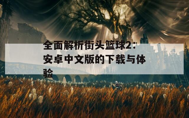 全面解析街头篮球2：安卓中文版的下载与体验