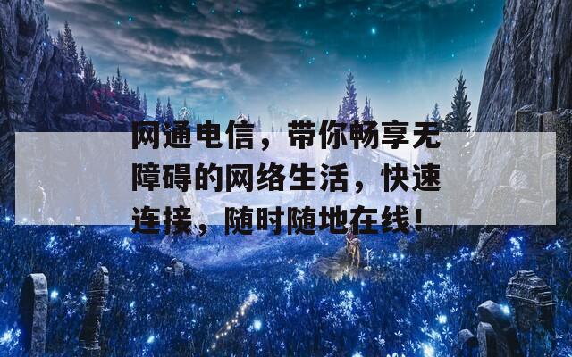 网通电信，带你畅享无障碍的网络生活，快速连接，随时随地在线！