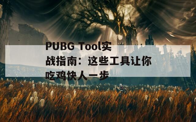 PUBG Tool实战指南：这些工具让你吃鸡快人一步  第1张