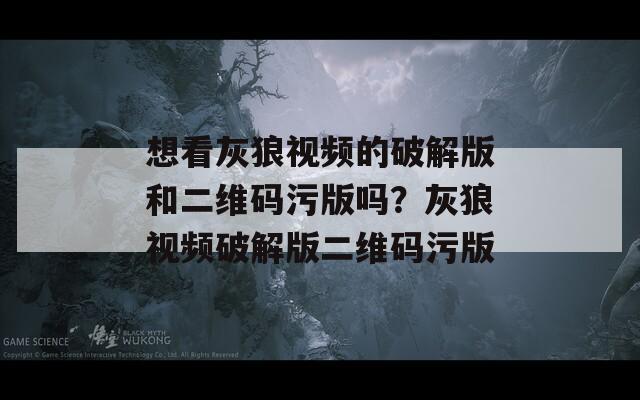 想看灰狼视频的破解版和二维码污版吗？灰狼视频破解版二维码污版  第1张