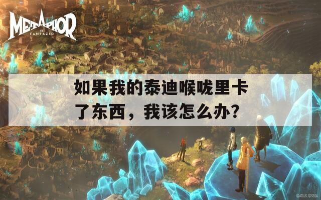 如果我的泰迪喉咙里卡了东西，我该怎么办？  第1张