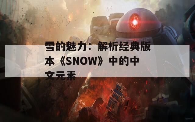 雪的魅力：解析经典版本《SNOW》中的中文元素  第1张
