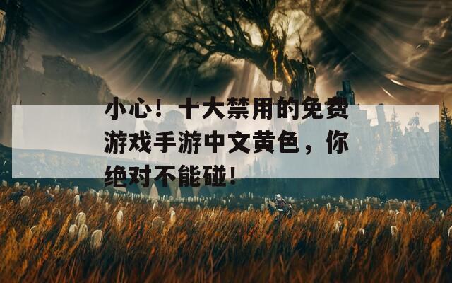 小心！十大禁用的免费游戏手游中文黄色，你绝对不能碰！