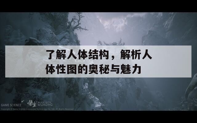 了解人体结构，解析人体性图的奥秘与魅力